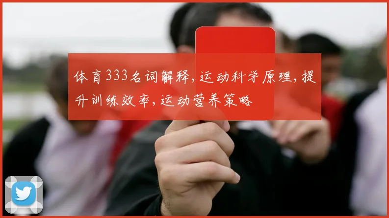 体育333名词解释,运动科学原理,提升训练效率,运动营养策略