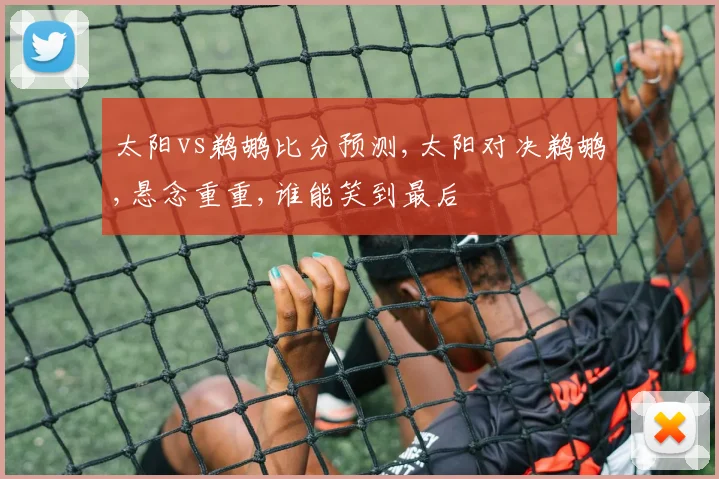 太阳vs鹈鹕比分预测,太阳对决鹈鹕,悬念重重,谁能笑到最后